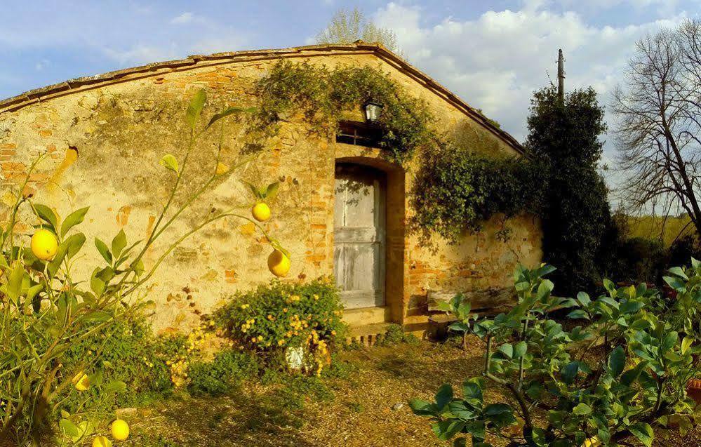 Bassetto Guesthouse & Apartments Certaldo Exterior foto